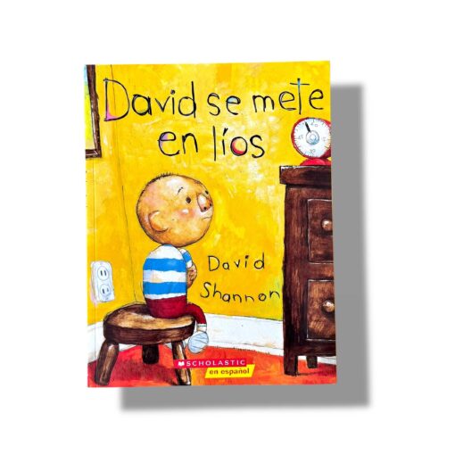 David se Mete en Líos | David Shannon